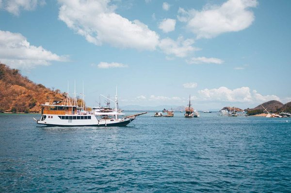 Comment identifier les croisières qui offrent une réelle immersion dans les cultures locales des destinations visitées ?