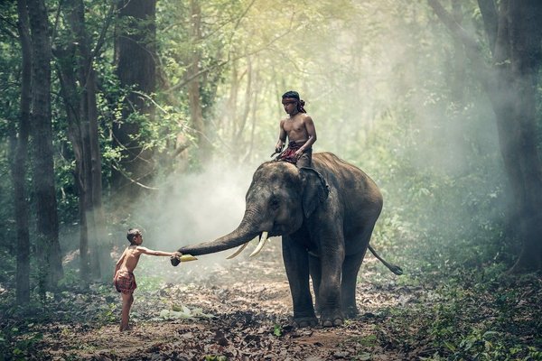 Quel temps en Thaïlande en août ?