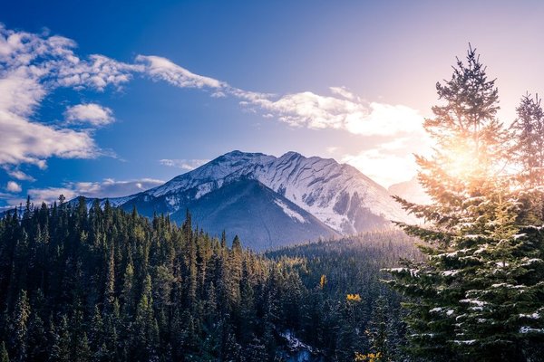Comment faire pour aller au Canada gratuitement ?
