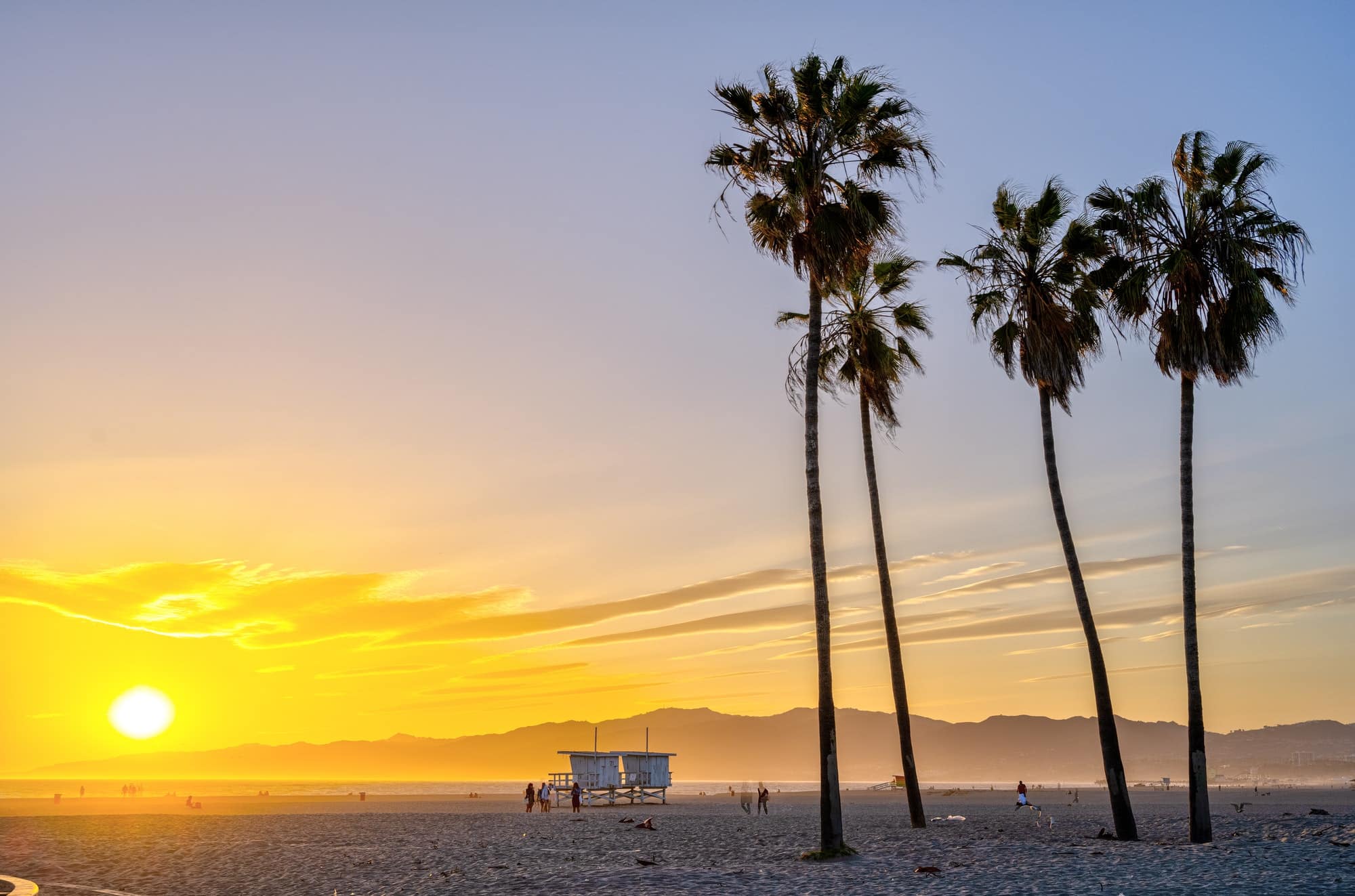 Qu’est-ce qui rend les plages de Los Angeles si uniques et si attrayantes ?